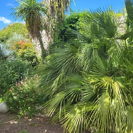 Maison Verdure & Calme Hébergement de vacances