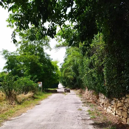 Maison Verdure & Calme